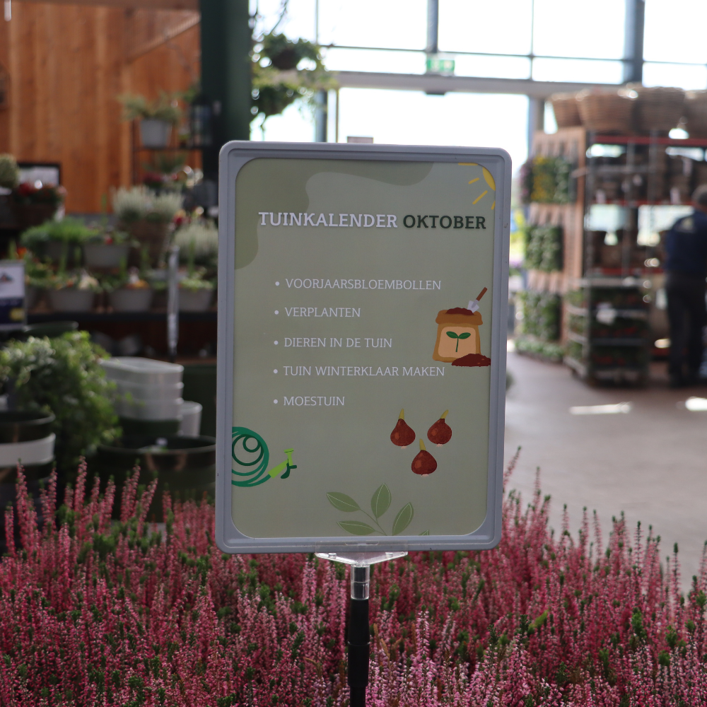 Tuinkalender oktober
