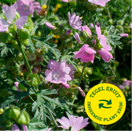 Tegel eruit, inheemse plant erin!