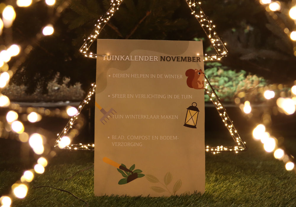 Tuinkalender november