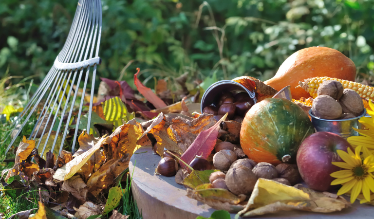 Tuinkalender oktober