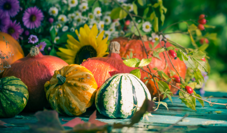 Tuinkalender september