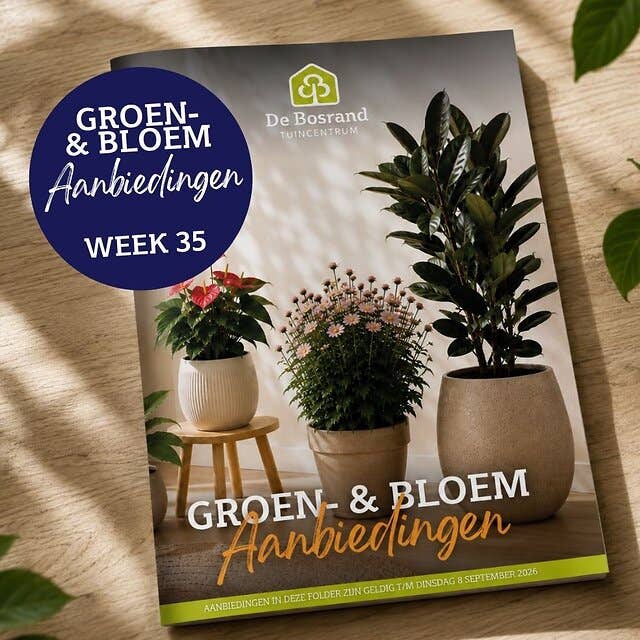 Tegels webshop - tegel_groenfolder28
