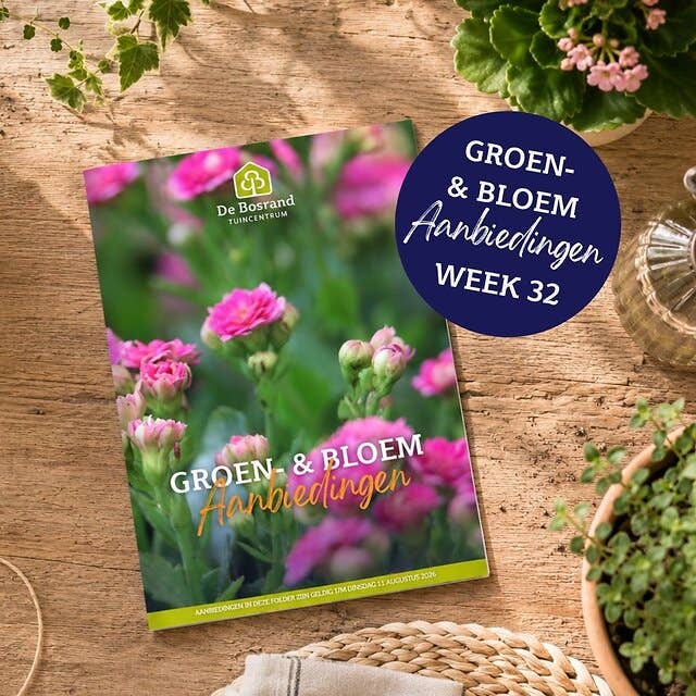 GROEN- & BLOEM FOLDER homepage nieuwsbrief - 1