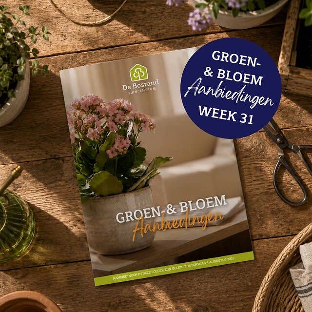 GROEN- & BLOEM - 1