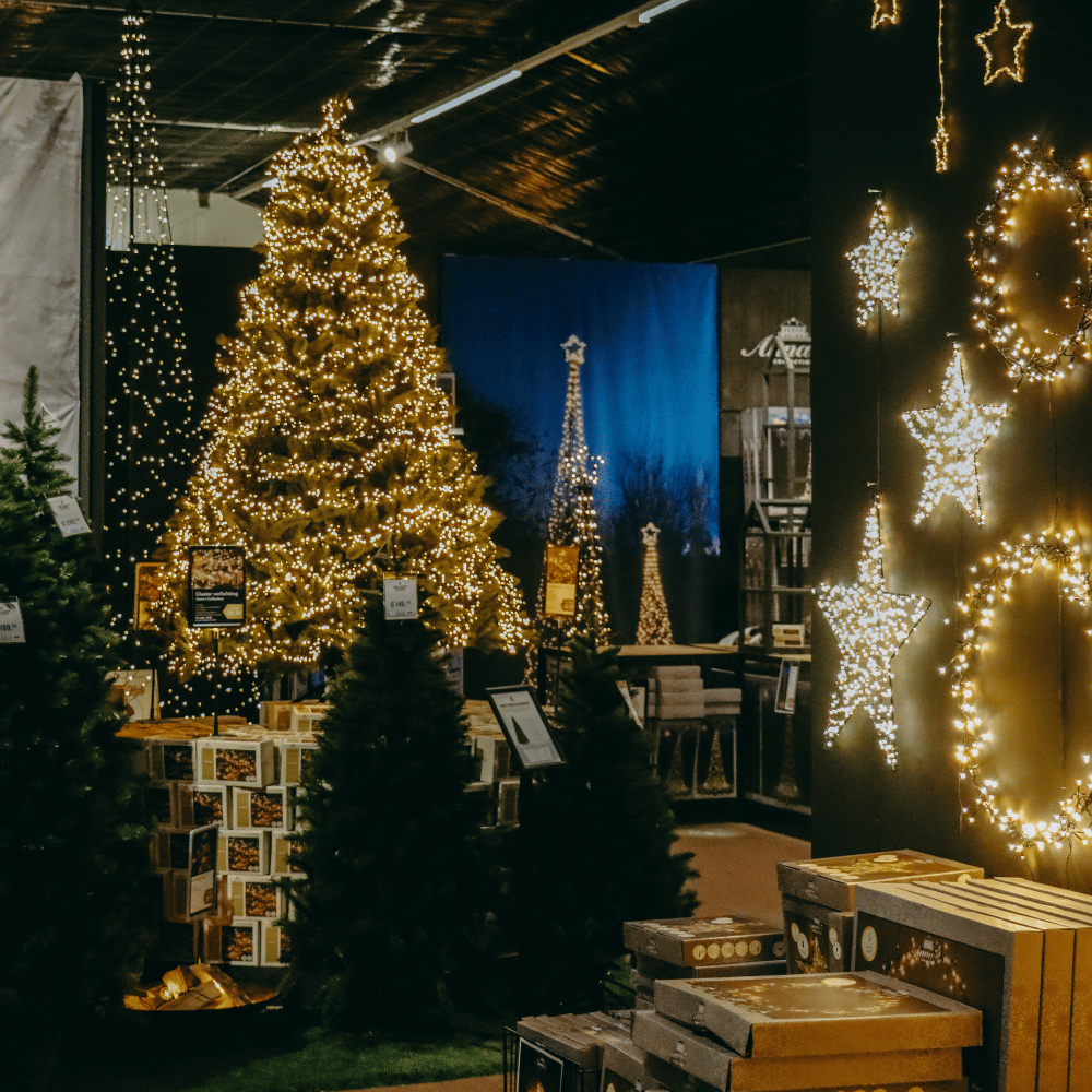 Cosy Christmas Day &amp; Night – Beleef de magie van kerst bij De Bosrand!