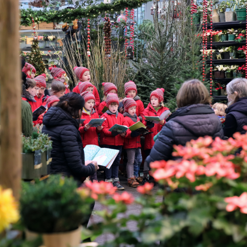 Koren, zanggroepen & acts gezocht!