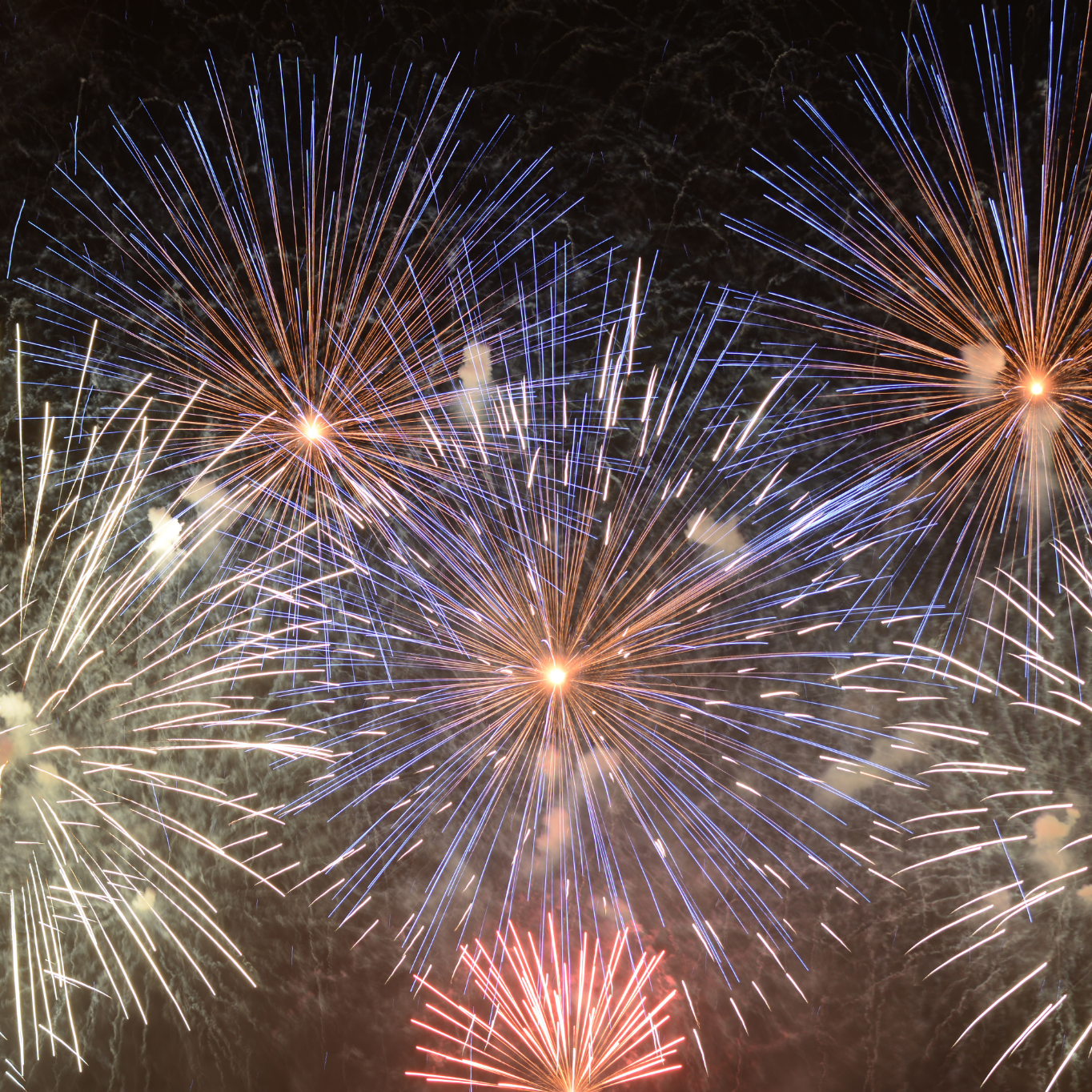 Vuurwerkverkoop De Bosrand Wassenaar