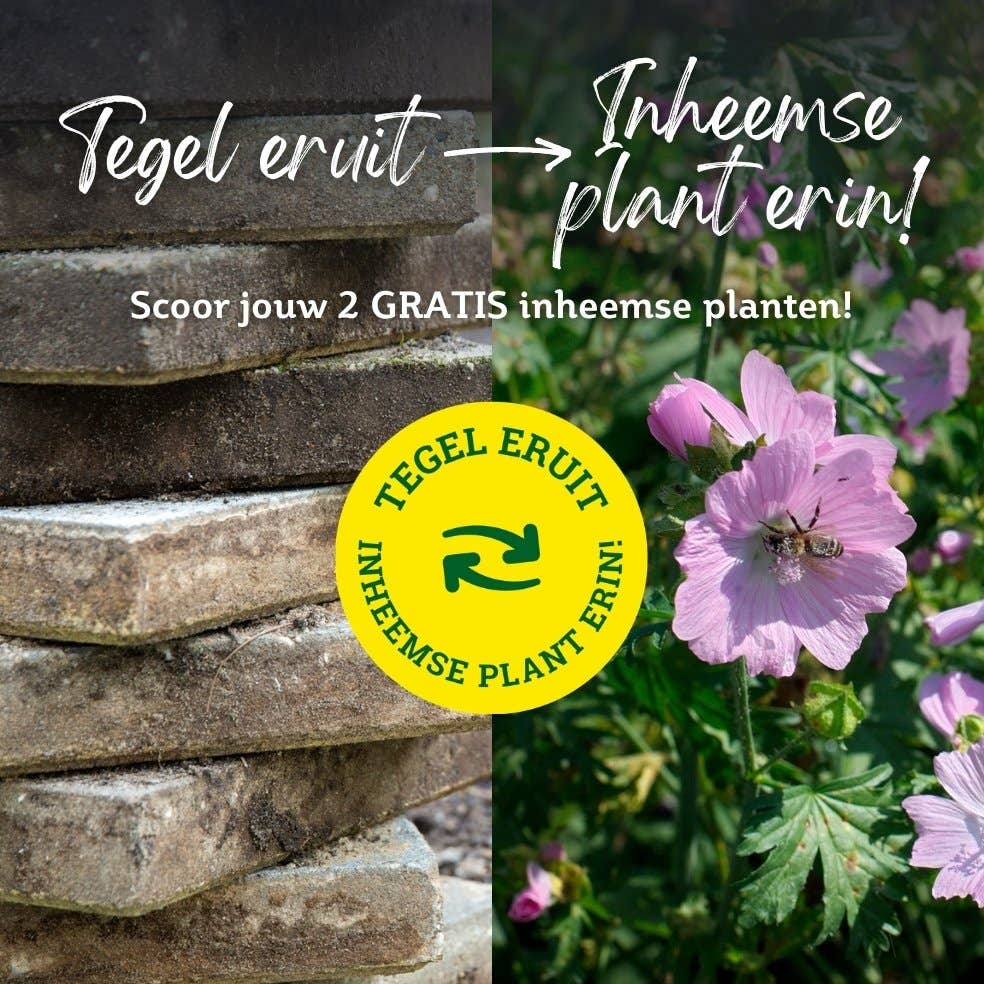 Tegels webshop - Tegel_Inheemse_planten_logo