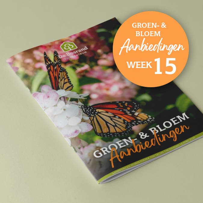 groen-folder-week15