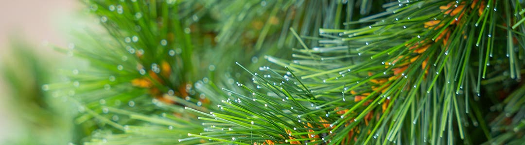 kunstkerstbomen_header_mobile