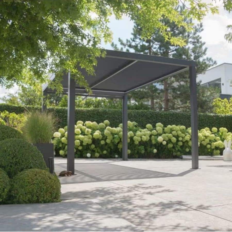 pergola - 1