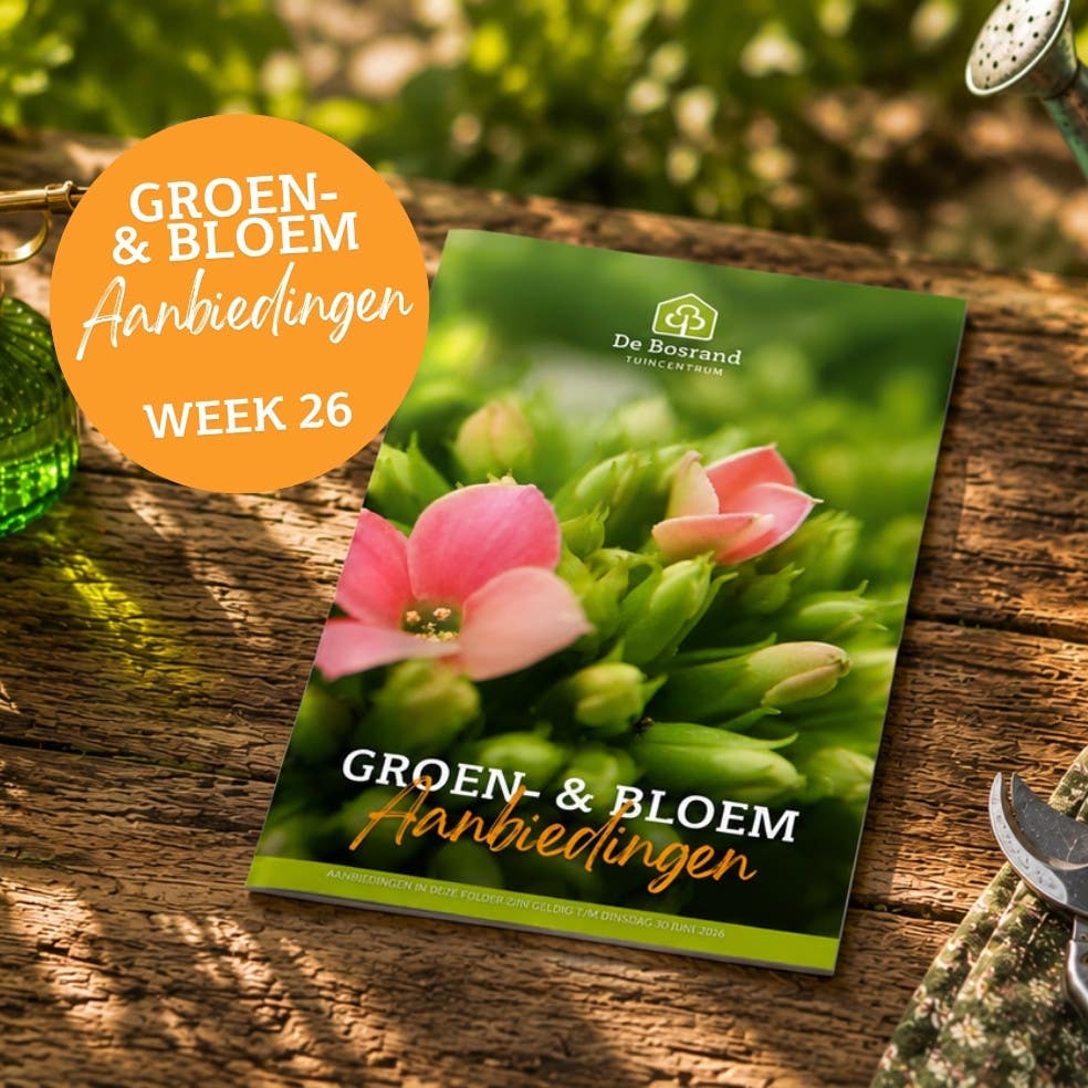 Tegels webshop - tegel_groenfolder26