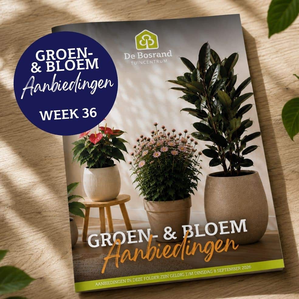 Tegels webshop - tegel_groenfolder28