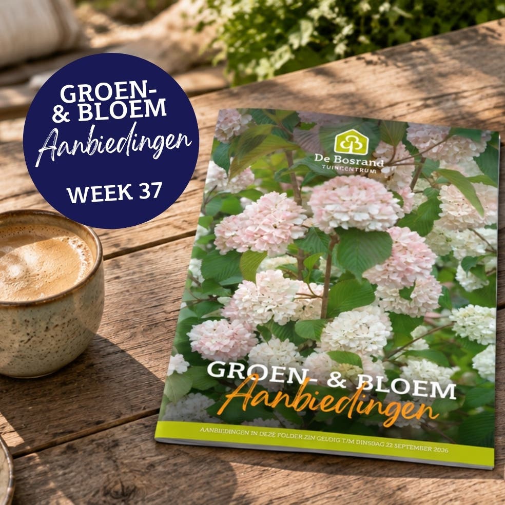 Tegels webshop - tegel_groenfolder28