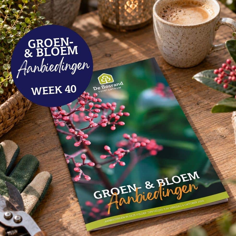 Tegels webshop - tegel_groenfolder28