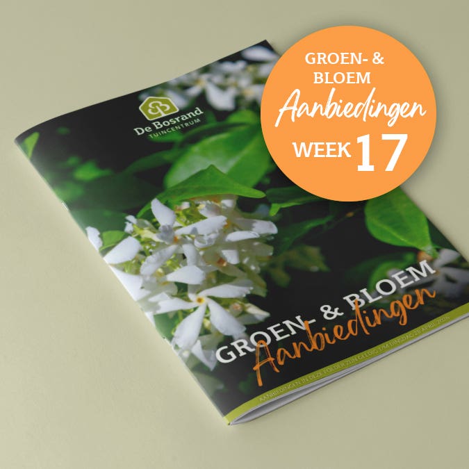 Tegel_Groenfolder_22-04-2026