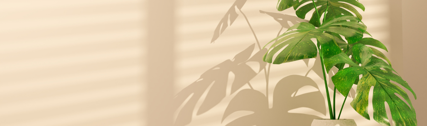 Webshop - Category header - header groenaanbieding monstera