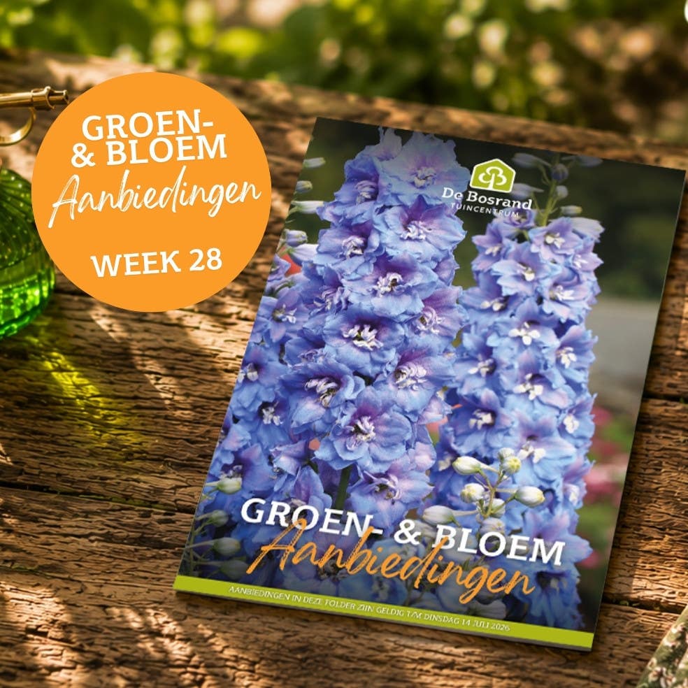 Tegels webshop - tegel_groenfolder28