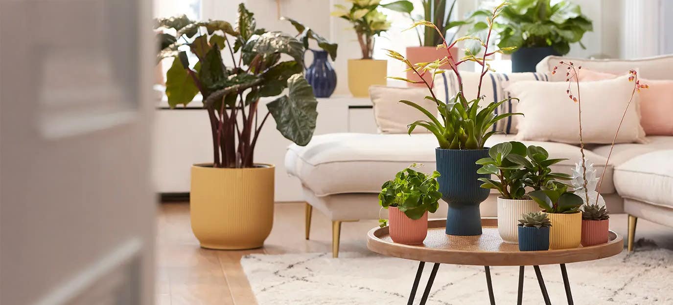 MAAK VANDAAG KLEURRIJK