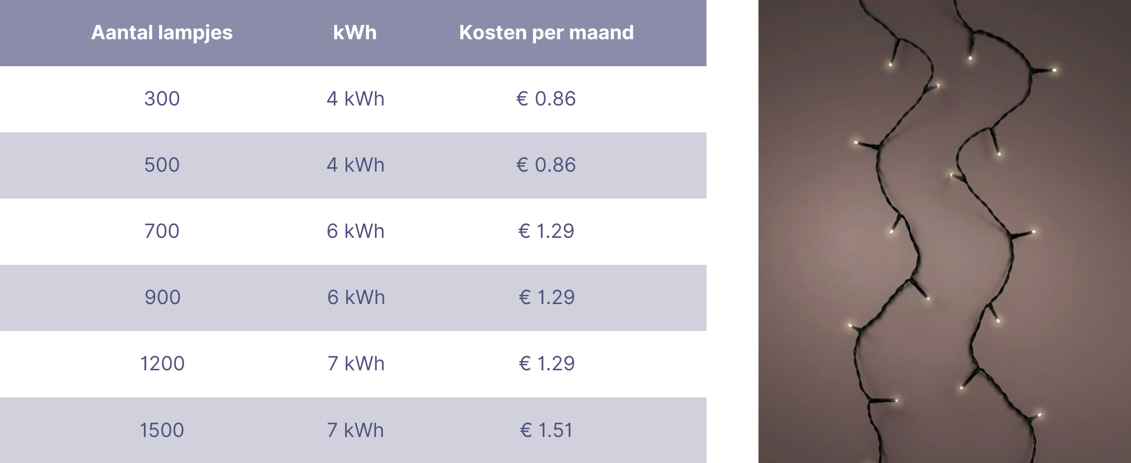 Webshop - Uitgelichte afbeelding - Blogs - basic lights kosten