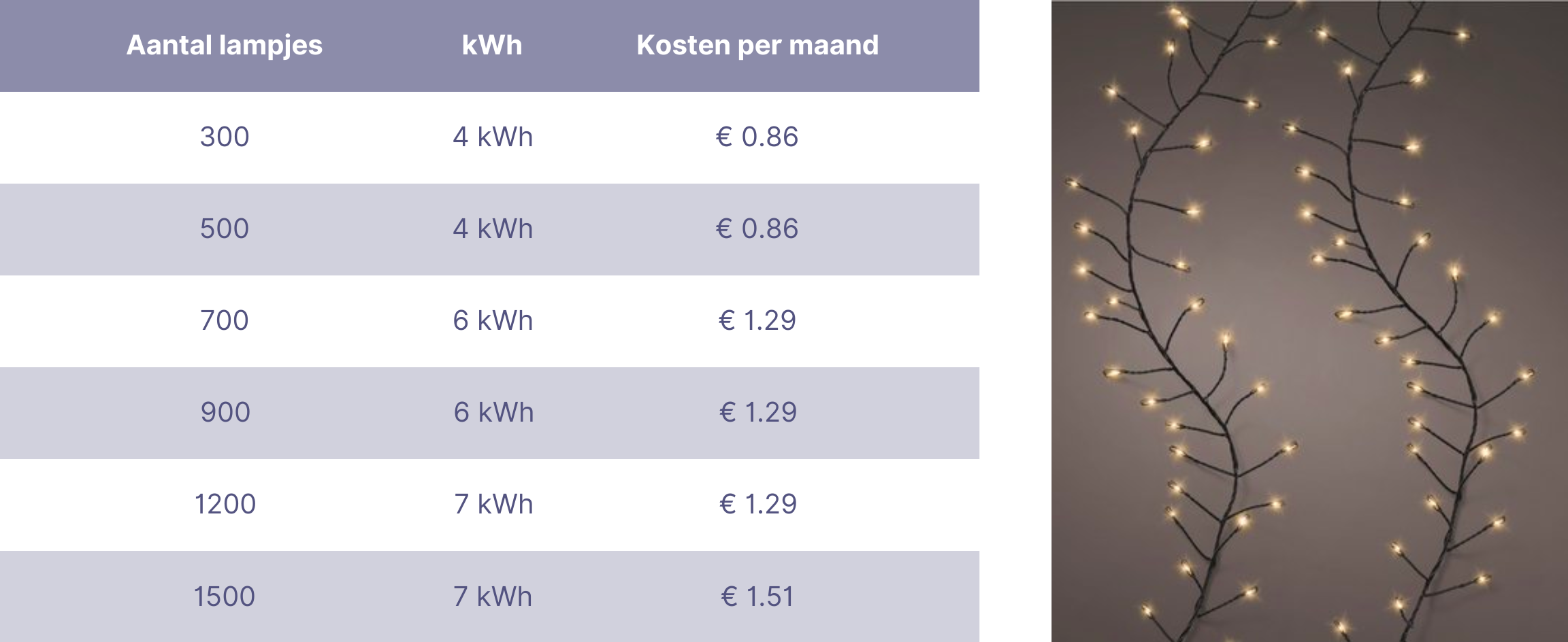 Webshop - Uitgelichte afbeelding - Blogs - compact lights kosten