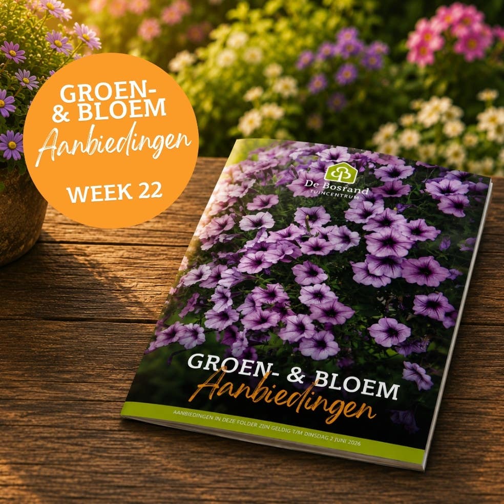 Tegels webshop - tegel_groenfolder22