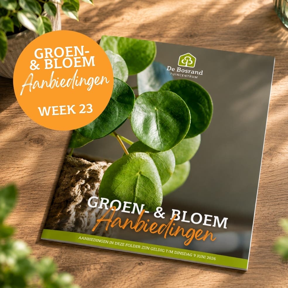 Tegels webshop - tegel_groenfolder23