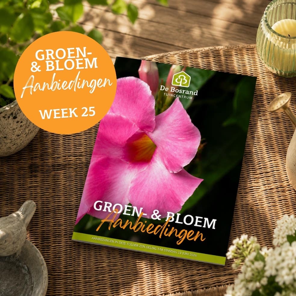 Tegels webshop - tegel_groenfolder25