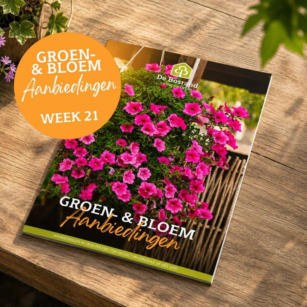 Tegels webshop - 10