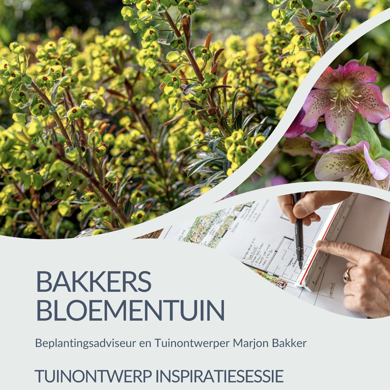 Bakkers Bloementuin