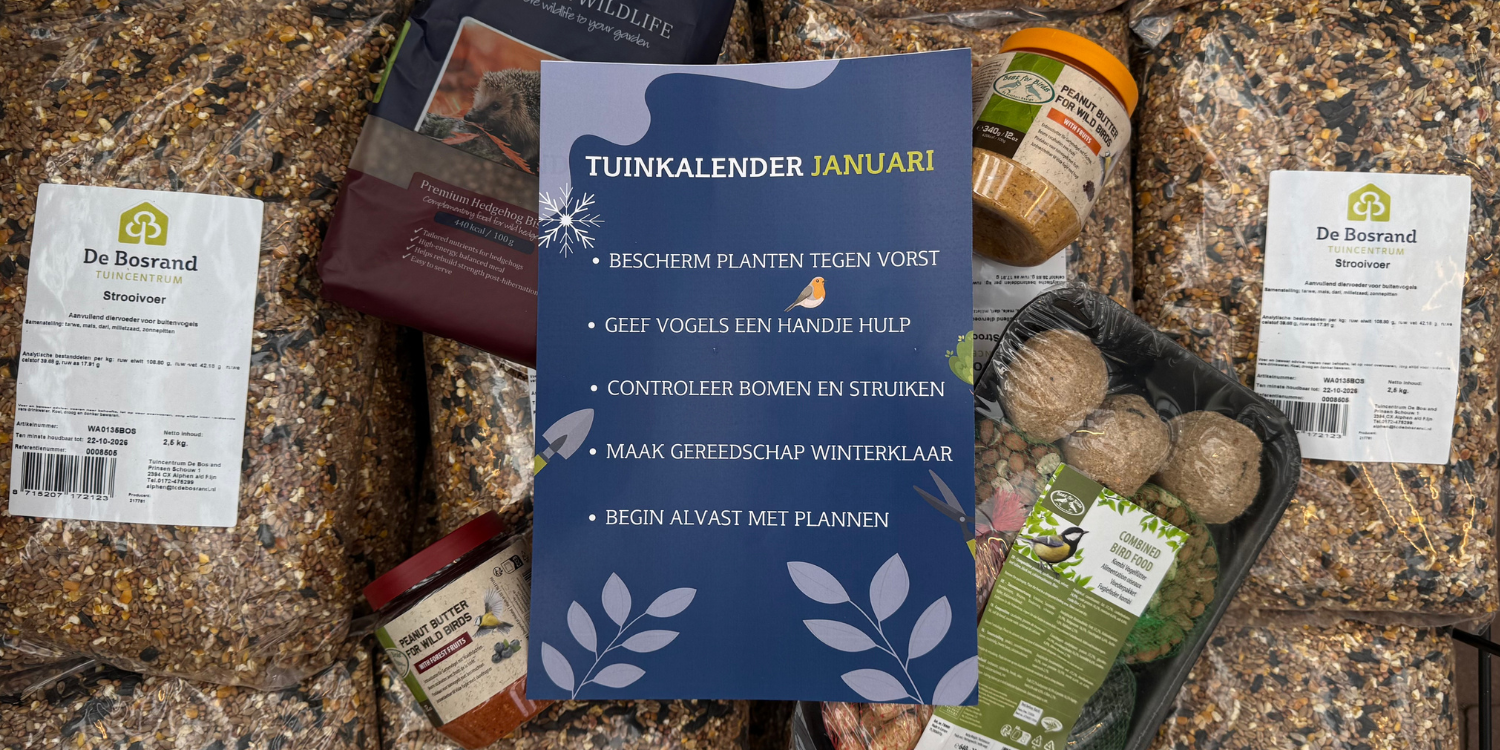 Tuinkalender januari