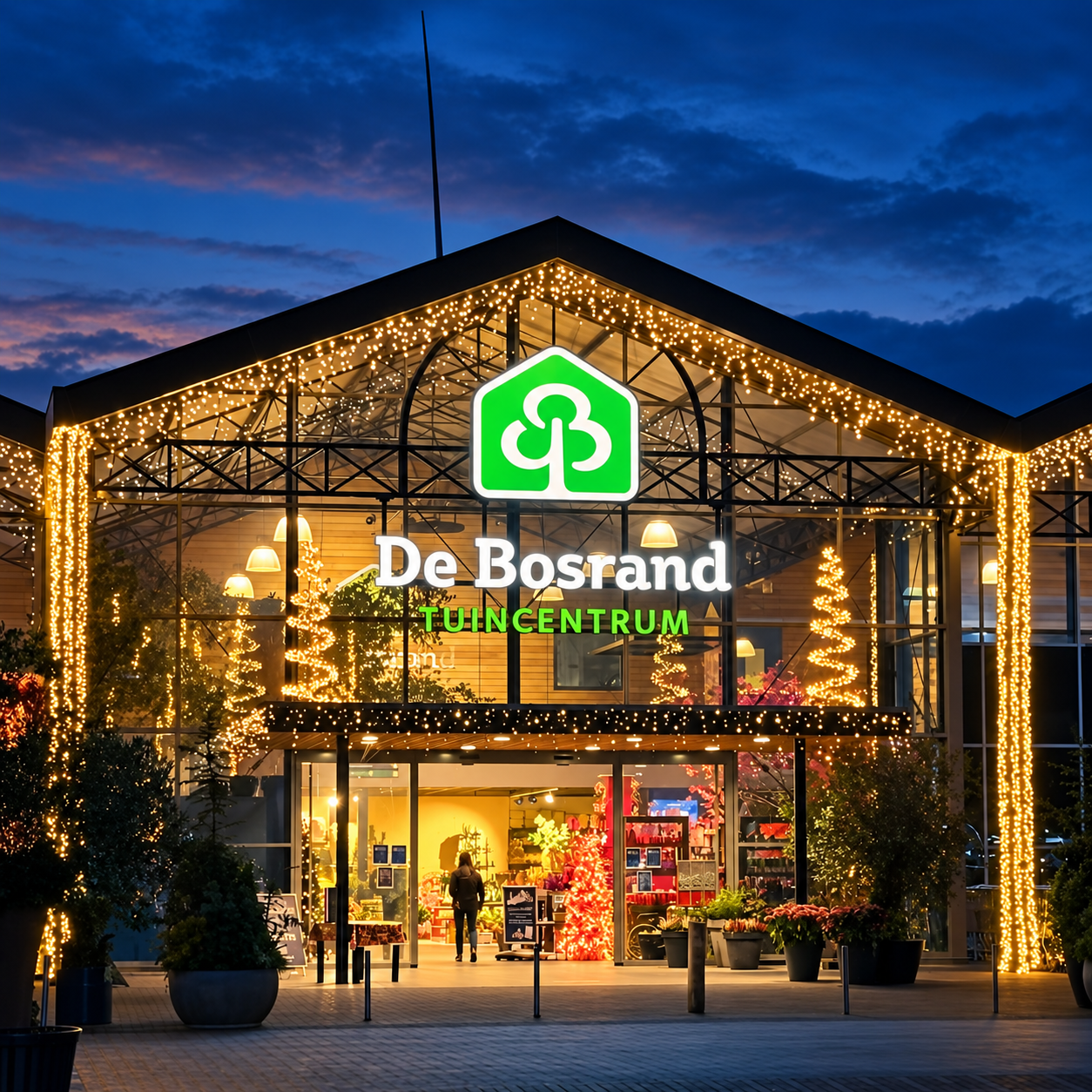 Alphen_ad_Rijn_winter