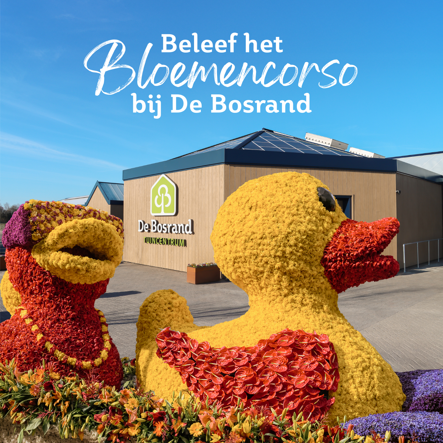 Bloemencorso
