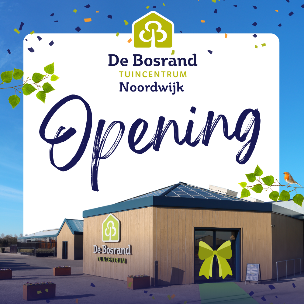 Opening Noordwijk